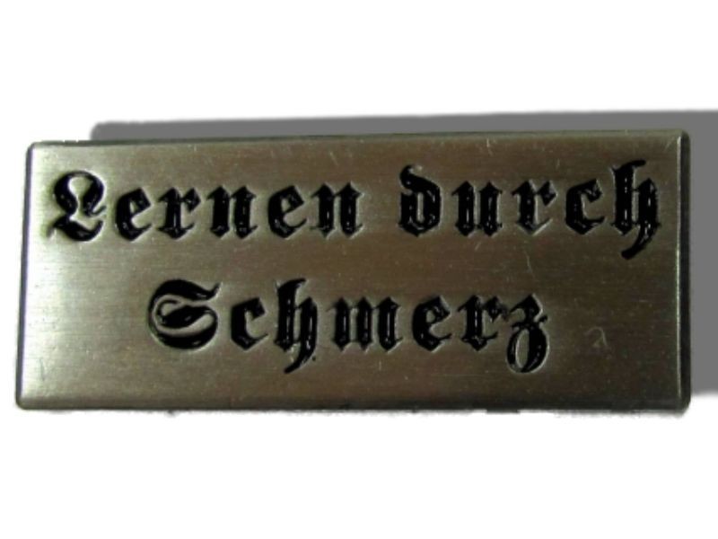 "Lernen durch Schmerz"