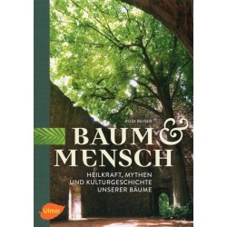 Baum und Mensch