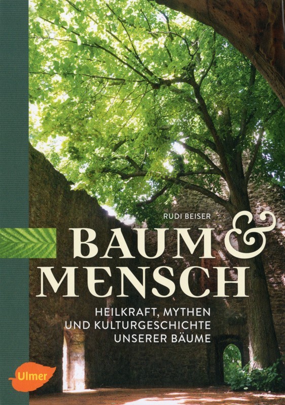 Baum und Mensch