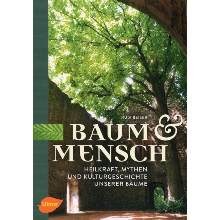 Baum und Mensch