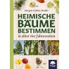 Heimische Bäume bestimmen