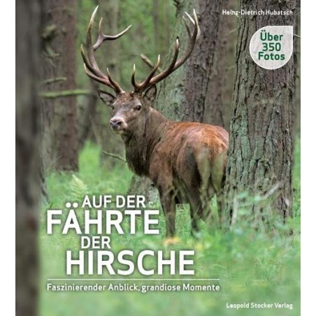 Auf der Fährte der Hirsche