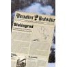 Alternativer Beobachter