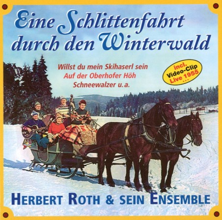 Eine Schlittenfahrt durch den Winterwald