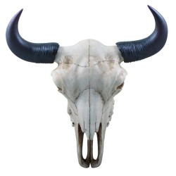 "Audhumbla"