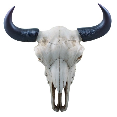 "Audhumbla"