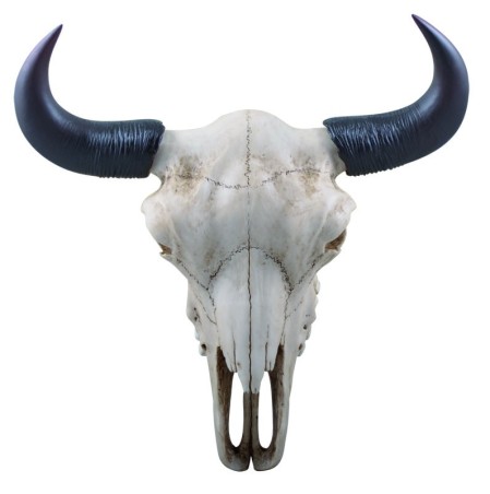 Audhumbla