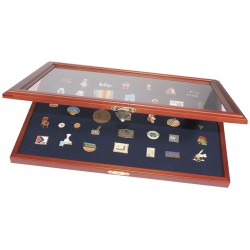 Schaukasten für Anstecker (Pins)