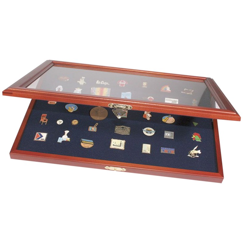 Schaukasten für Anstecker (Pins)