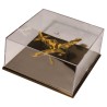 Acryl-Vitrine groß