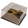 Acryl-Vitrine mittel