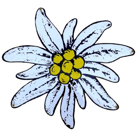 "Edelweiß"
