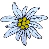 "Edelweiß"