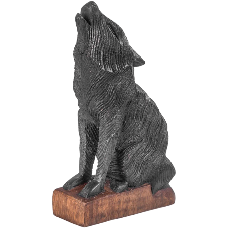 "Kleiner Wolf"