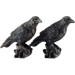 "Odins Raben Hugin und Munin"