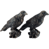 "Odins Raben Hugin und Munin"