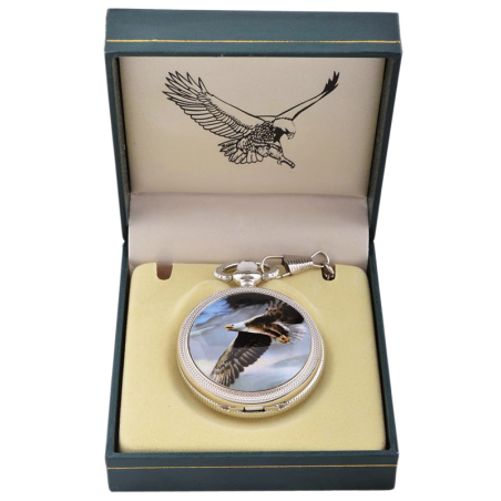 „Fliegender Adler“