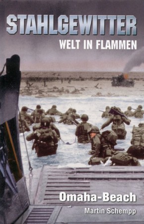 Stahlgewitter - Welt in Flammen