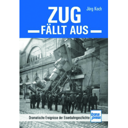Zug fällt aus