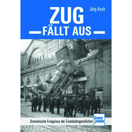 Zug fällt aus