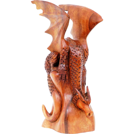 „Drache auf Fels“
