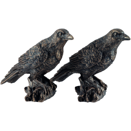"Odins Raben Hugin und Munin"
